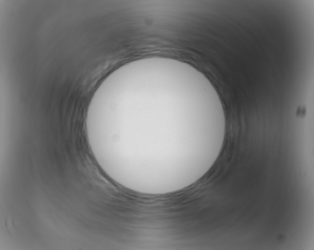 X0000110730621200906121312