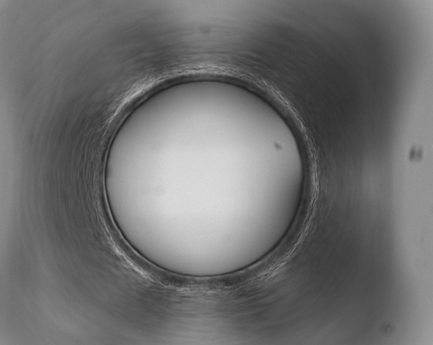 X0000110730625200906121311
