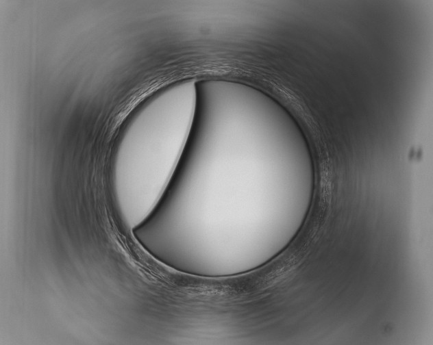 X0000110730626200906121311
