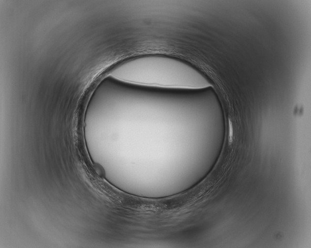 X0000110730627200906121311
