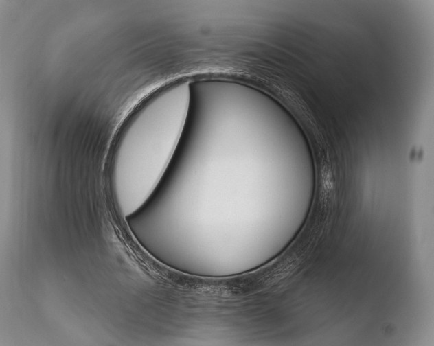 X0000110730628200906121311