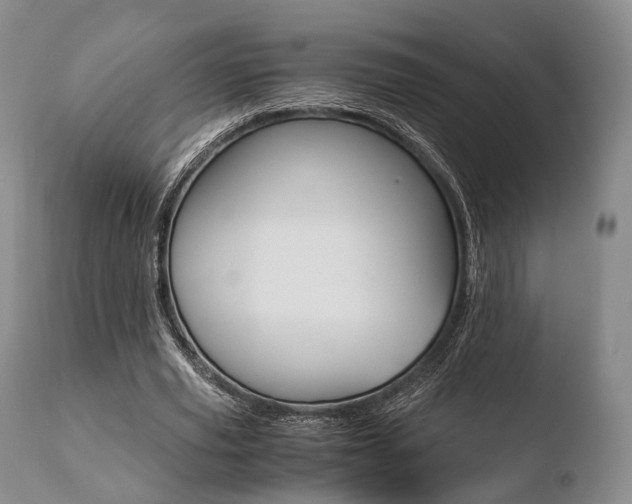 X0000110730629200906121311