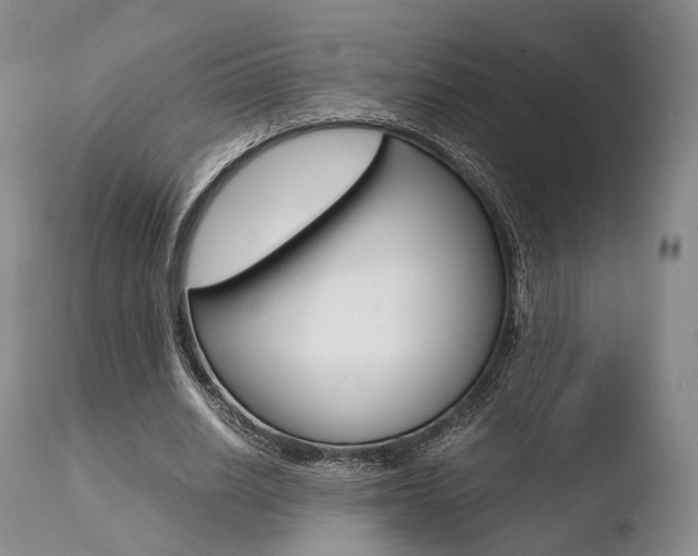 X0000110730630200906121311