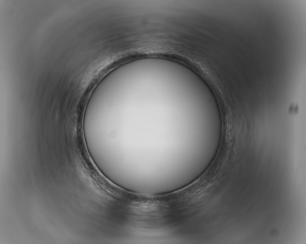 X0000110730631200906121311