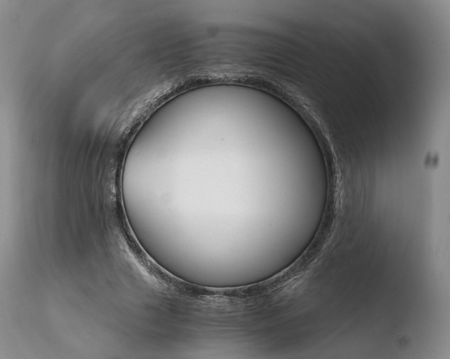 X0000110730633200906121311
