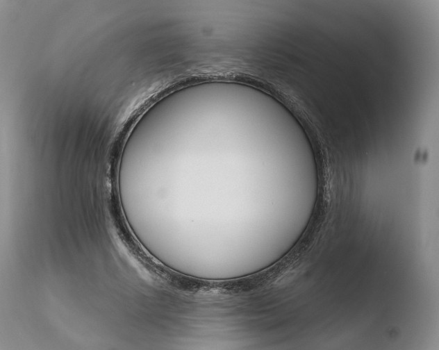 X0000110730634200906121311