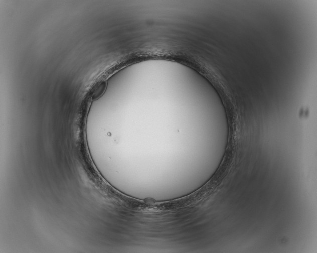 X0000110730635200906121311