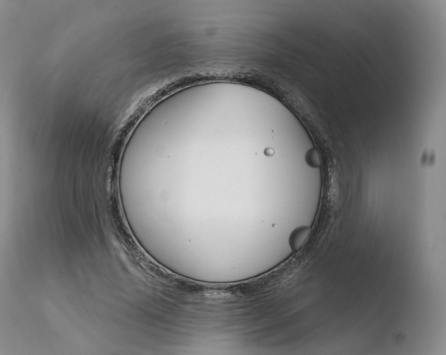 X0000110730636200906121311