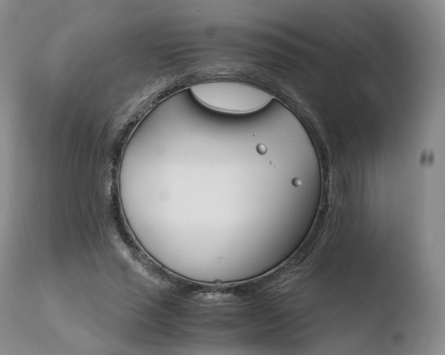X0000110730637200906121311