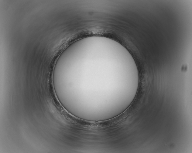 X0000110730639200906121311