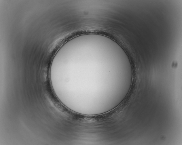 X0000110730640200906121311