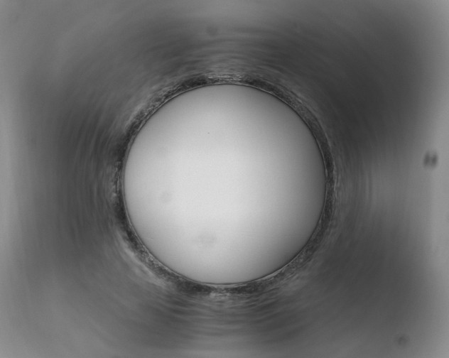 X0000110730641200906121311
