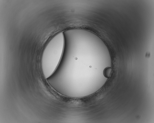 X0000110730642200906121311