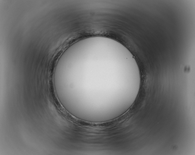 X0000110730643200906121311
