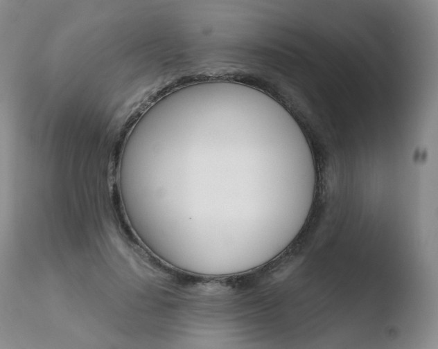 X0000110730644200906121311