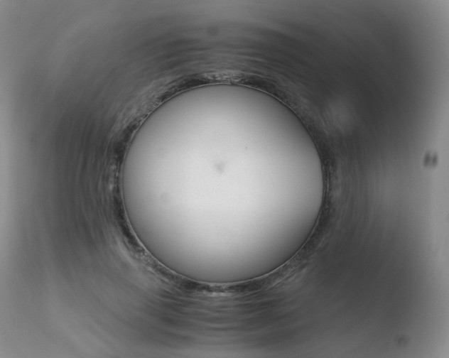 X0000110730645200906121311