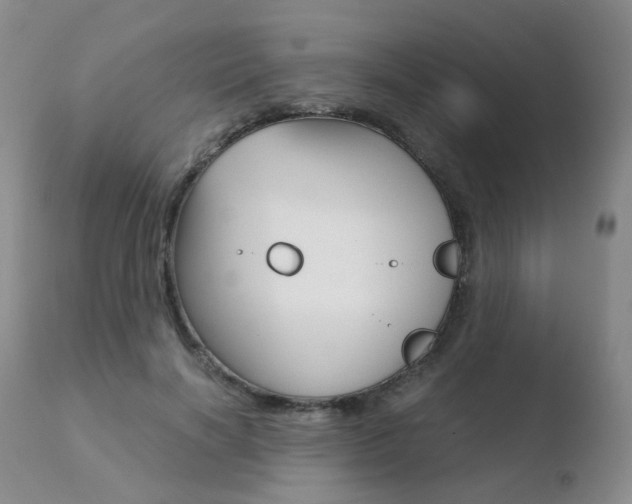 X0000110730646200906121311