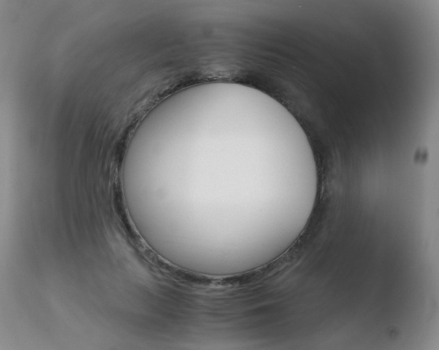 X0000110730647200906121311