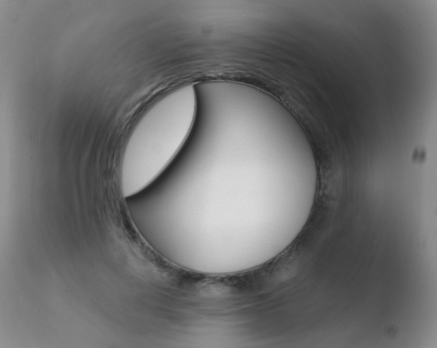X0000110730648200906121311