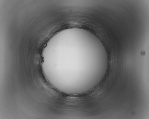 X0000110730649200906121311