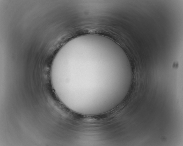 X0000110730650200906121311
