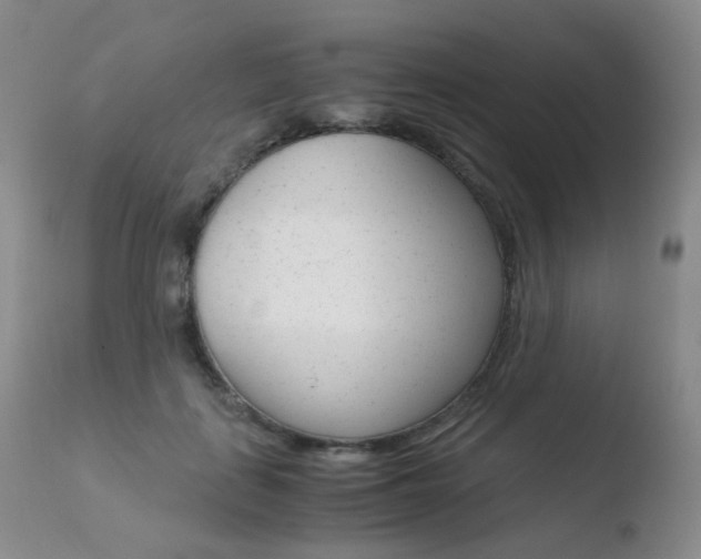 X0000110730651200906121311