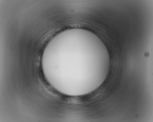 X0000110730652200906121311