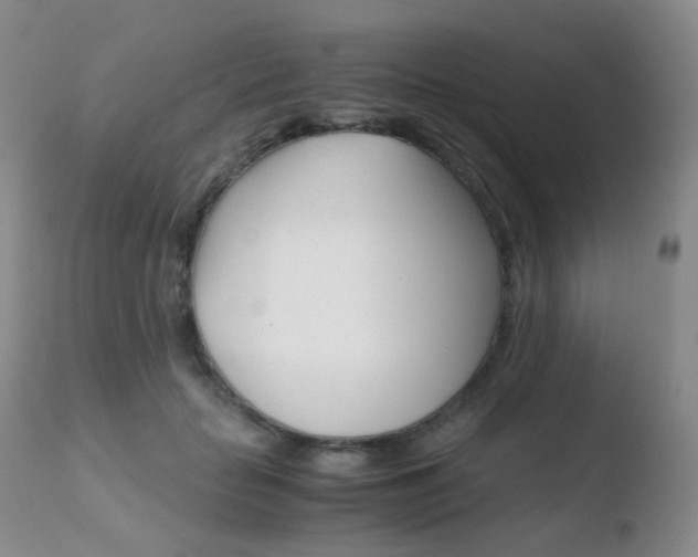 X0000110730653200906121311