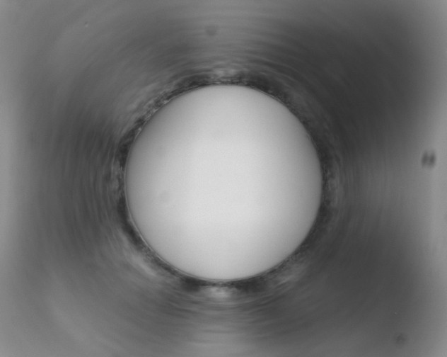 X0000110730654200906121311