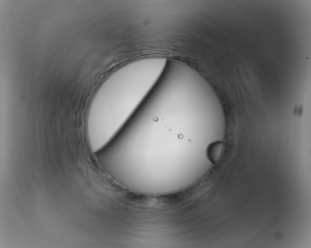 X0000110730656200906121312