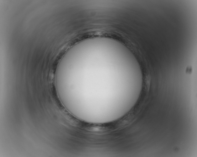 X0000110730657200906121312