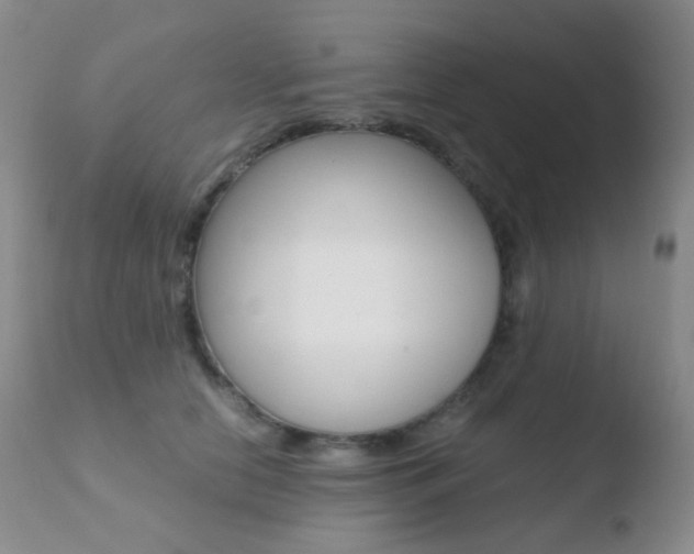 X0000110730658200906121312