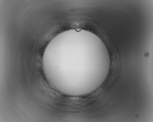 X0000110730659200906121312