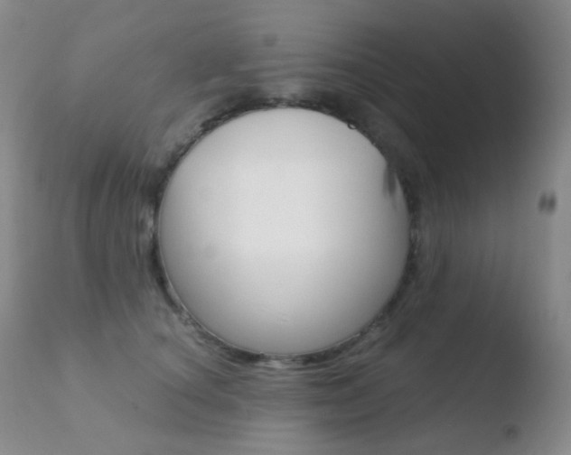 X0000110730660200906121312