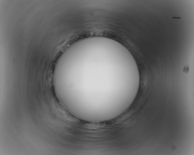 X0000110730661200906121312