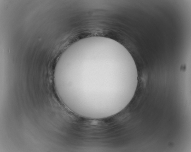 X0000110730663200906121312