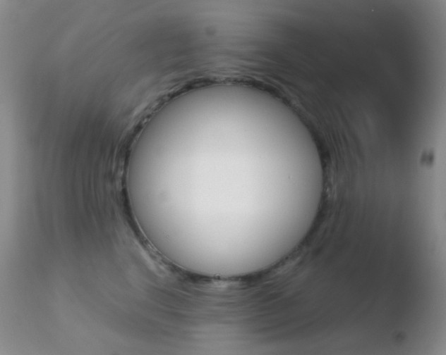 X0000110730664200906121312