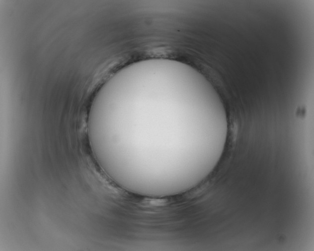 X0000110730665200906121312