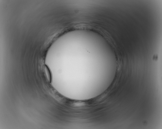 X0000110730669200906121312