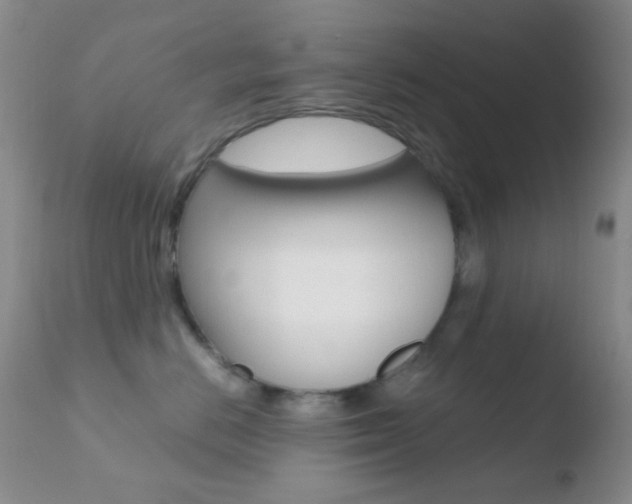 X0000110730670200906121312
