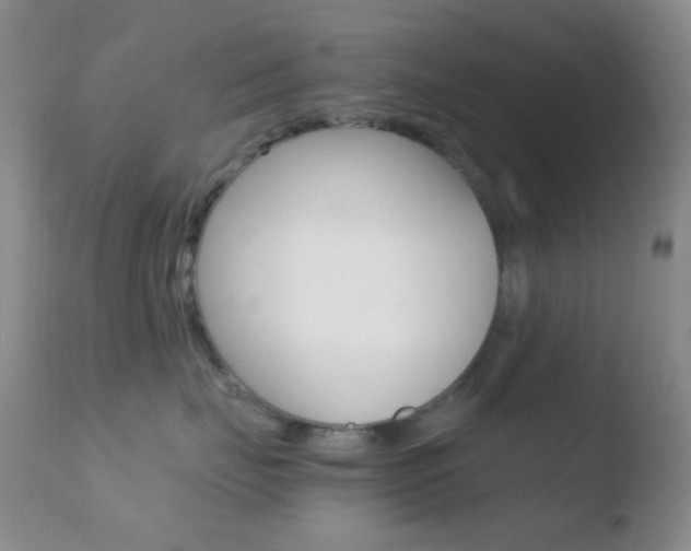 X0000110730671200906121312