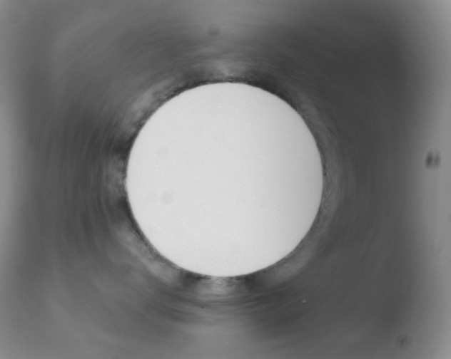 X0000110730672200906121312