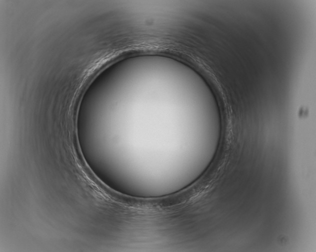 X0000110730673200906121311