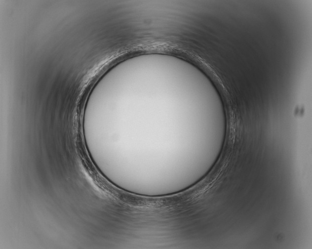 X0000110730674200906121311