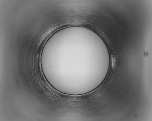 X0000110730675200906121311