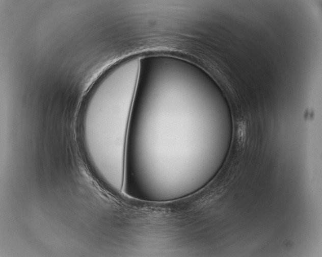 X0000110730676200906121311