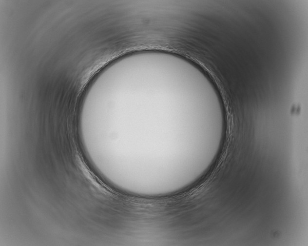 X0000110730677200906121311