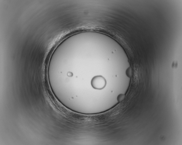 X0000110730678200906121311