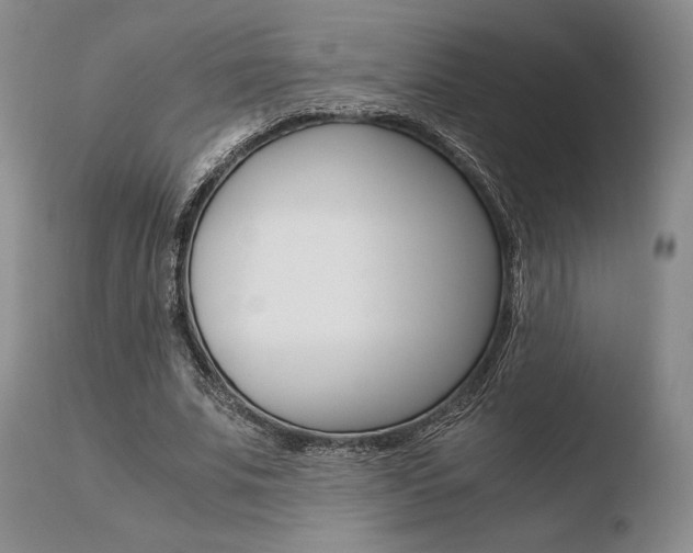 X0000110730679200906121311
