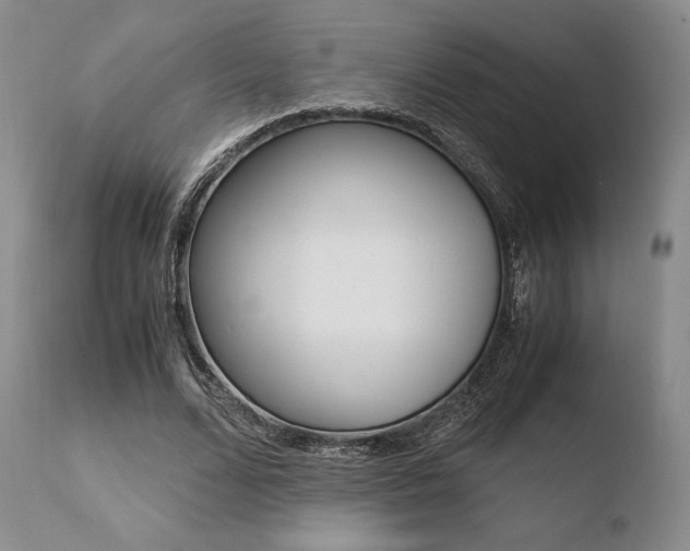 X0000110730680200906121311